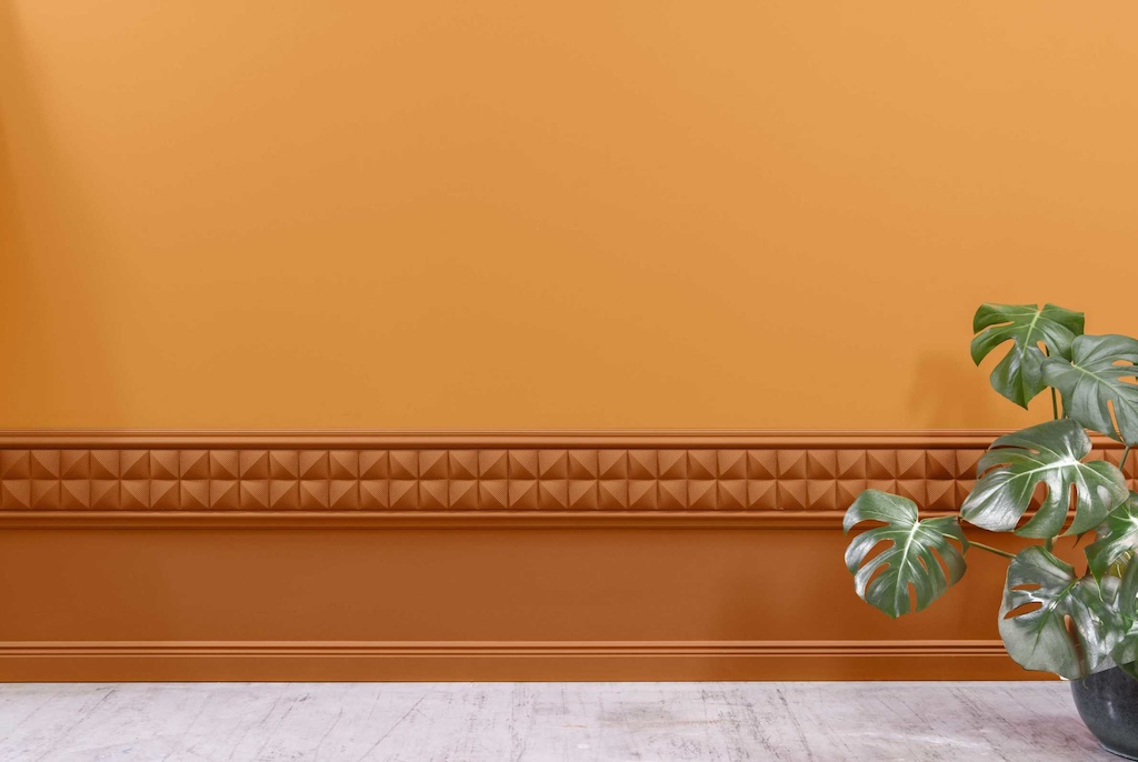 Designová stěna s ozdobnou lištou doplněná pokojovou rostlinou